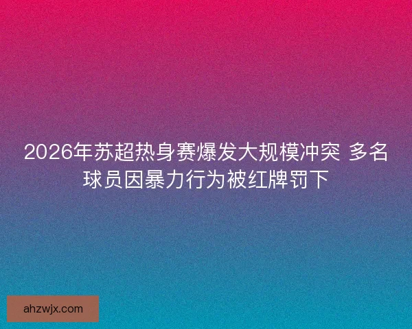 2026年苏超热身赛爆发大规模冲突 多名球员因暴力行为被红牌罚下