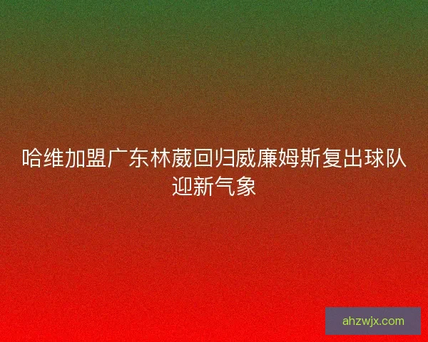 哈维加盟广东林葳回归威廉姆斯复出球队迎新气象